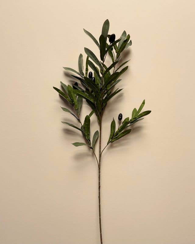 Olive Stem