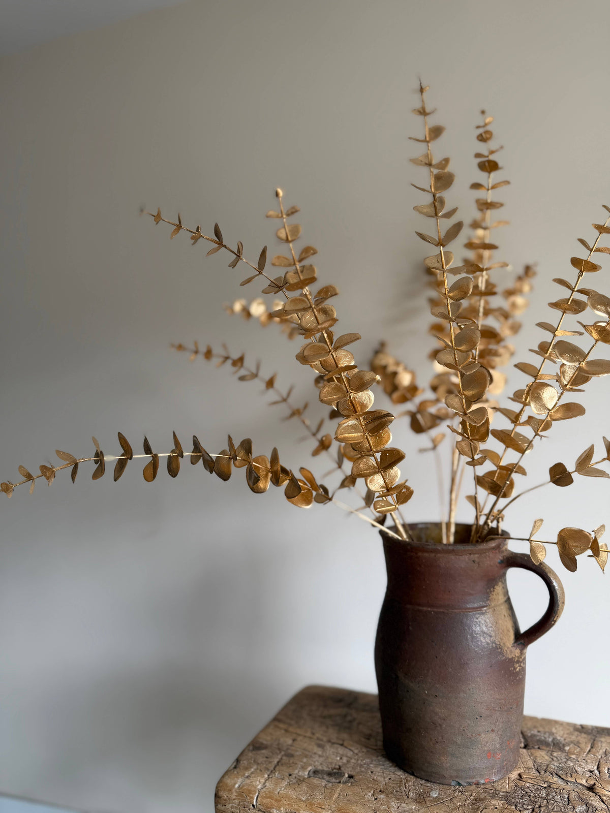 Gold Eucalyptus