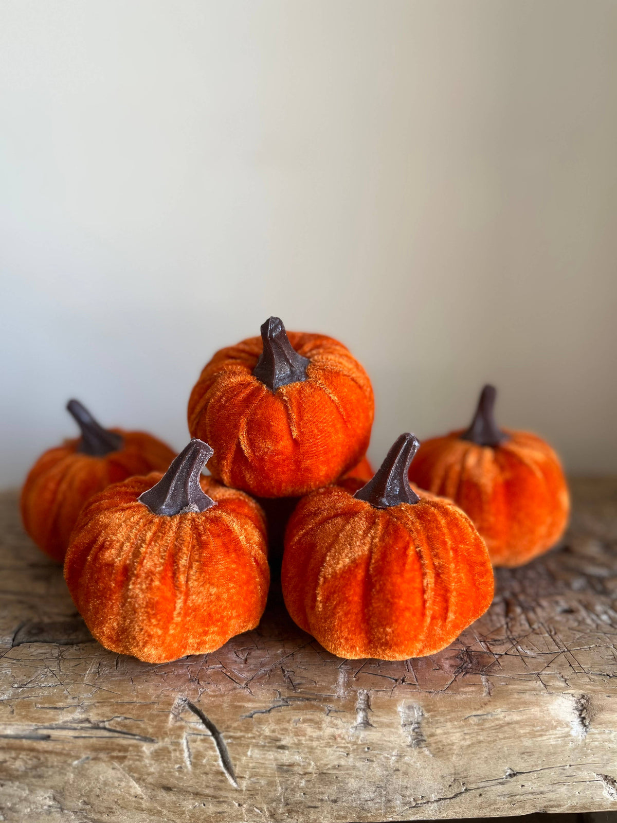 Small Velvet Pumpkin Burnt Orange - Bag of 6