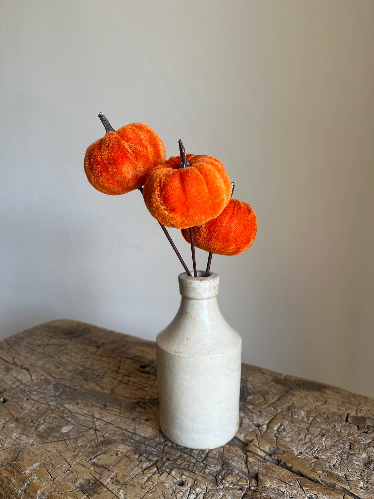Velvet Pumpkin Pick Burnt Orange Pack of 6