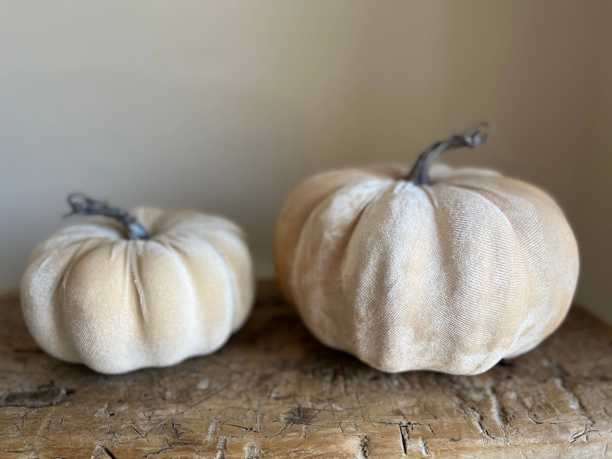 Medium Velvet Pumpkin Ivory