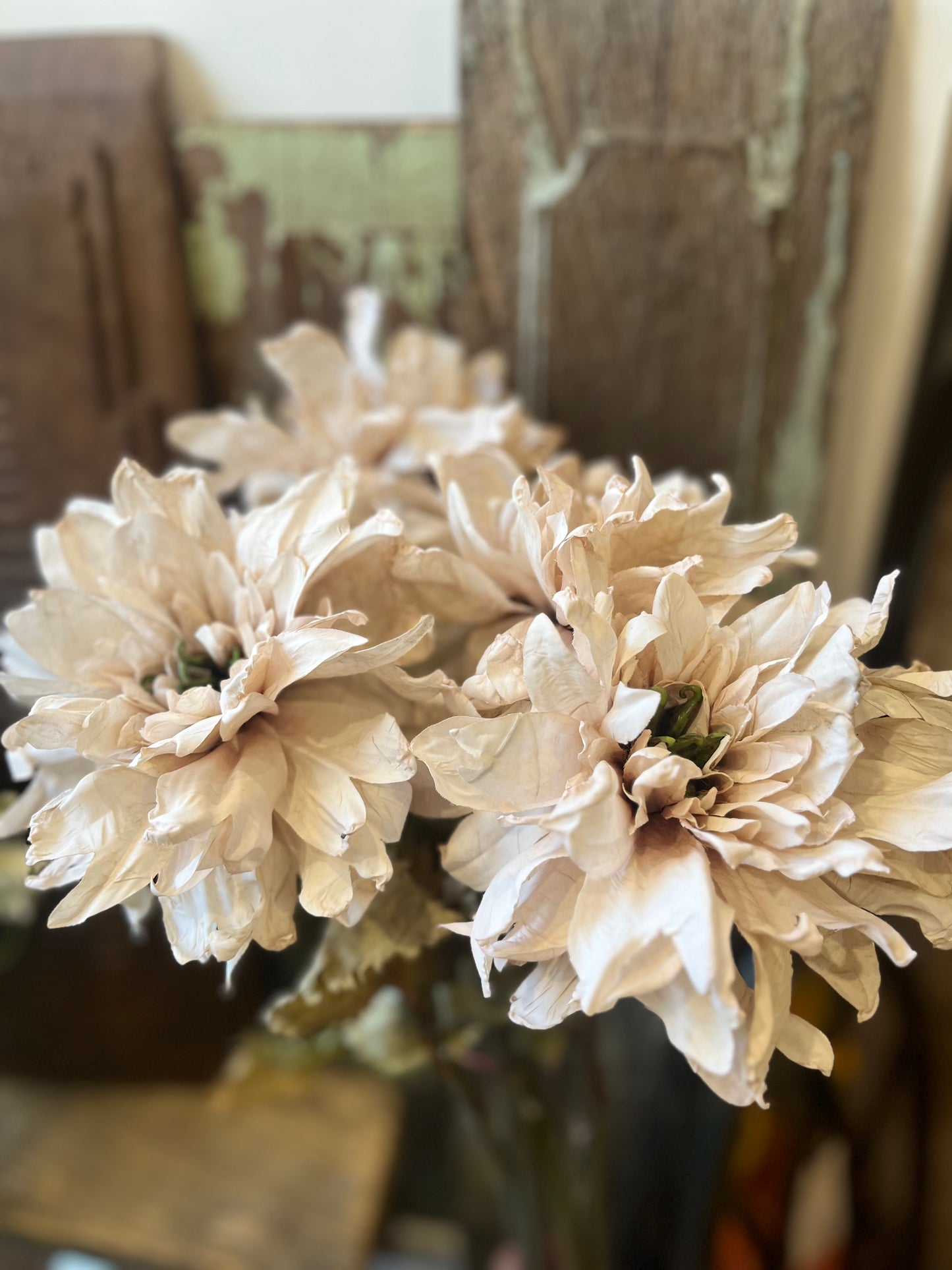 Vintage Dahlia in Nude