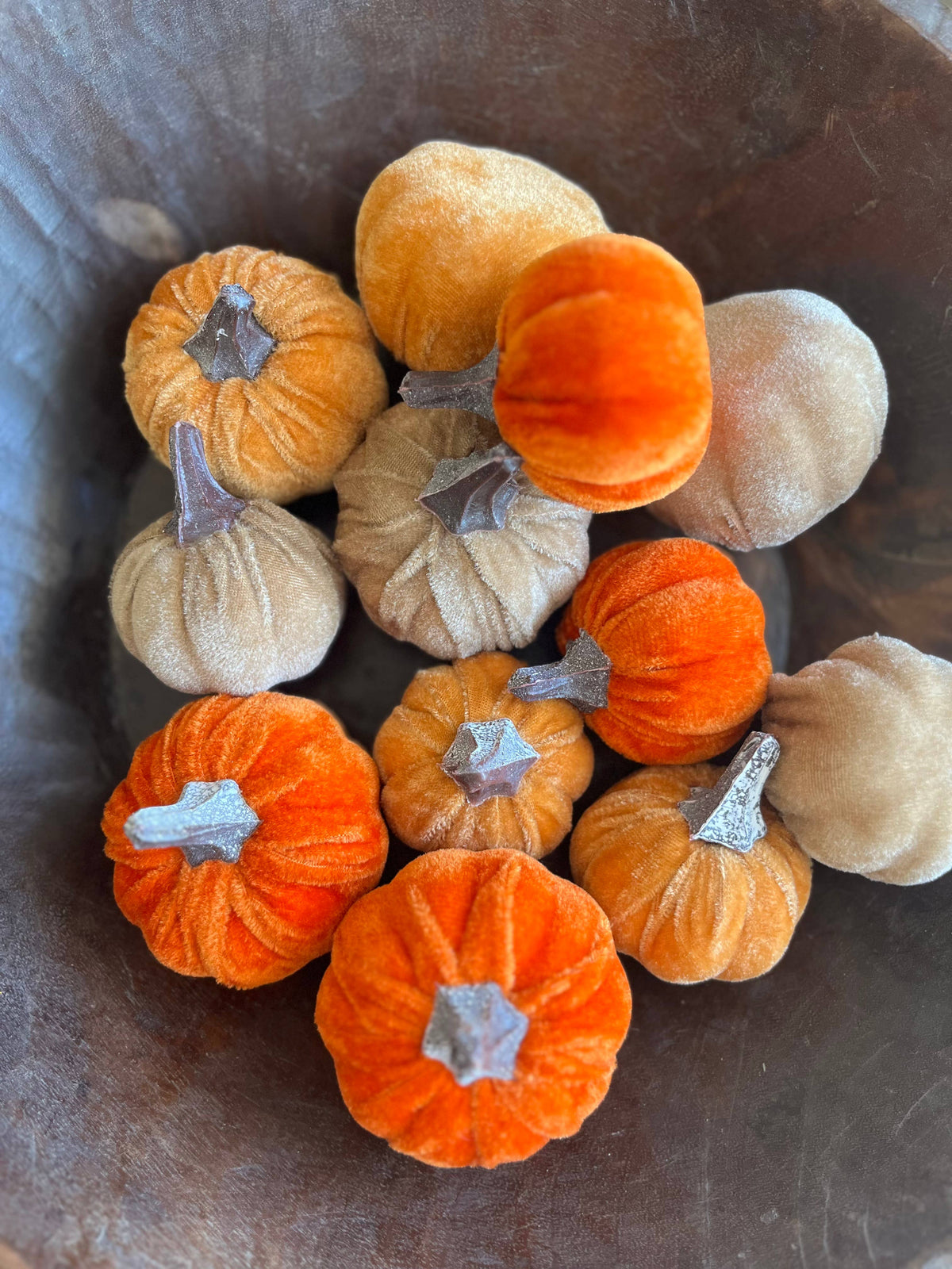Mini Velvet Pumpkin Mixed Colour - Bag of 6