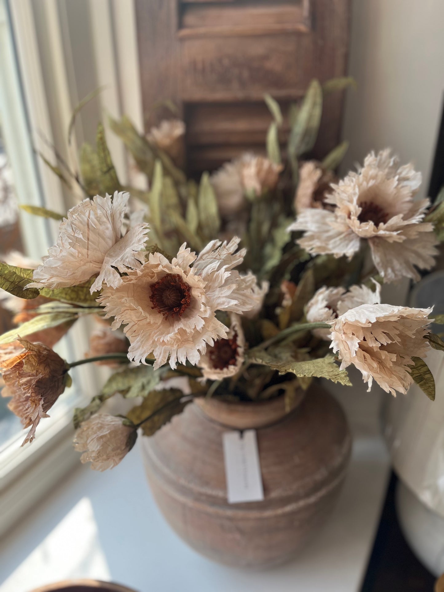 Ruffled Oyster Poppy