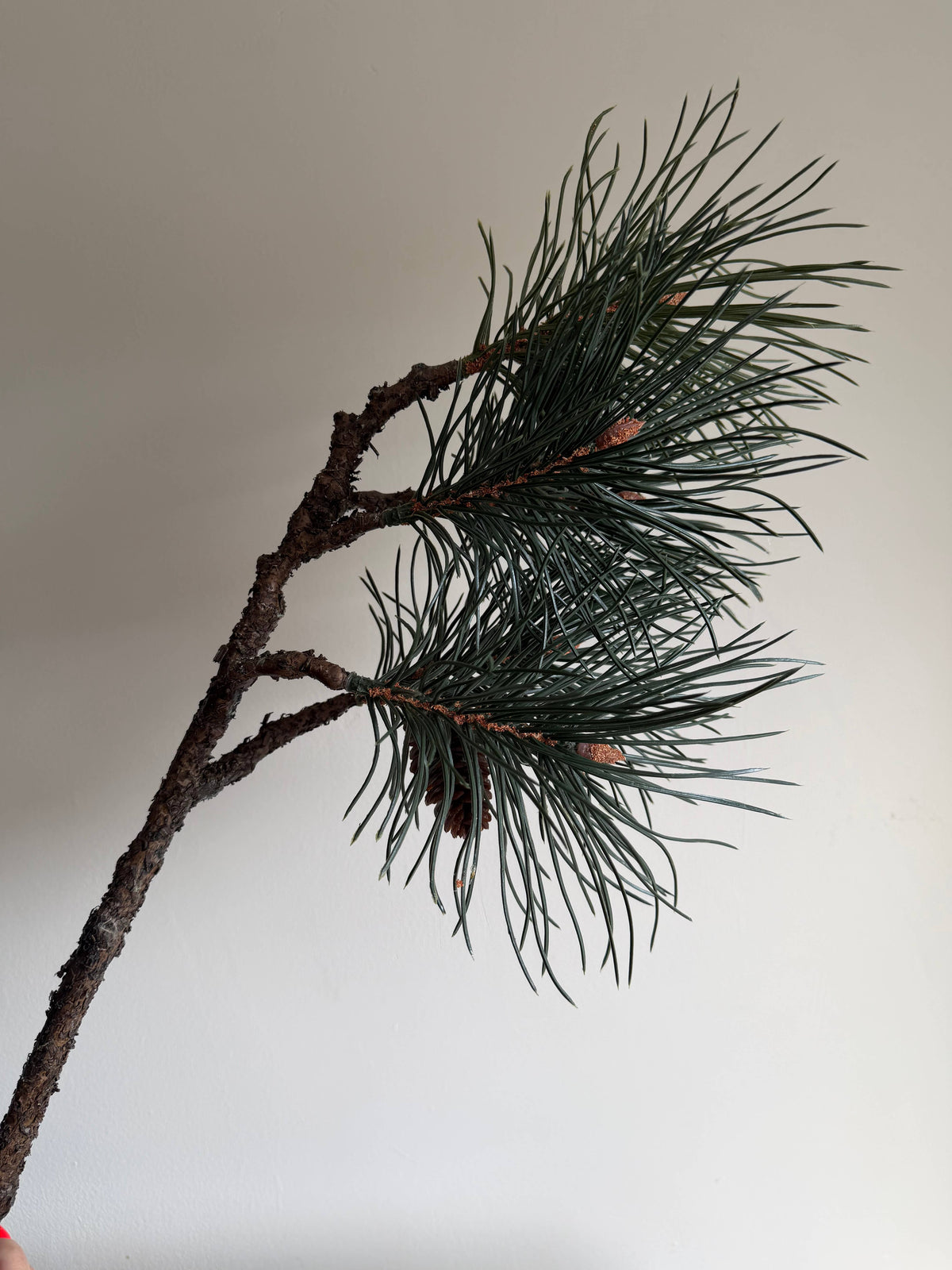 Luxury Pinus Branch