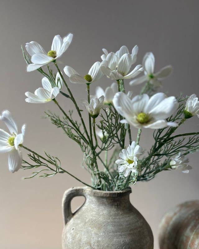 Cosmos Spray