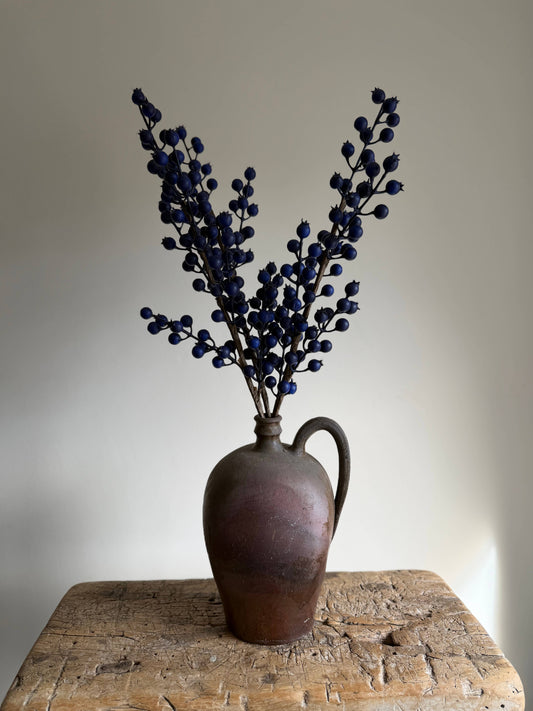 Blue Berry Stem