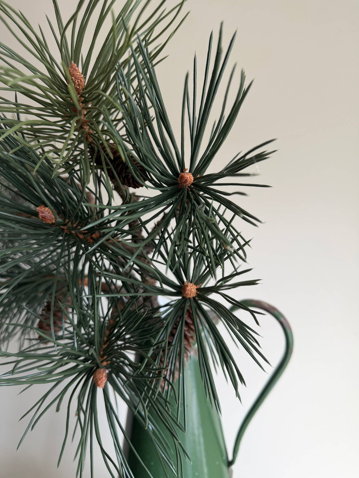 Luxury Pinus Branch