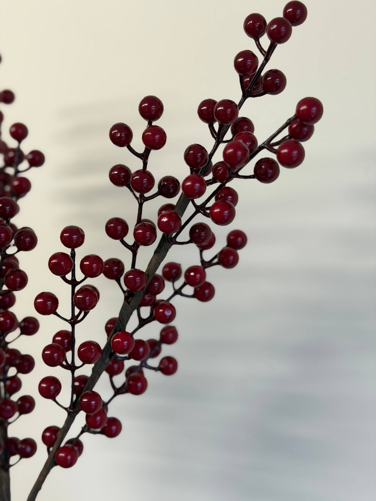 Deep Red Berry Stem