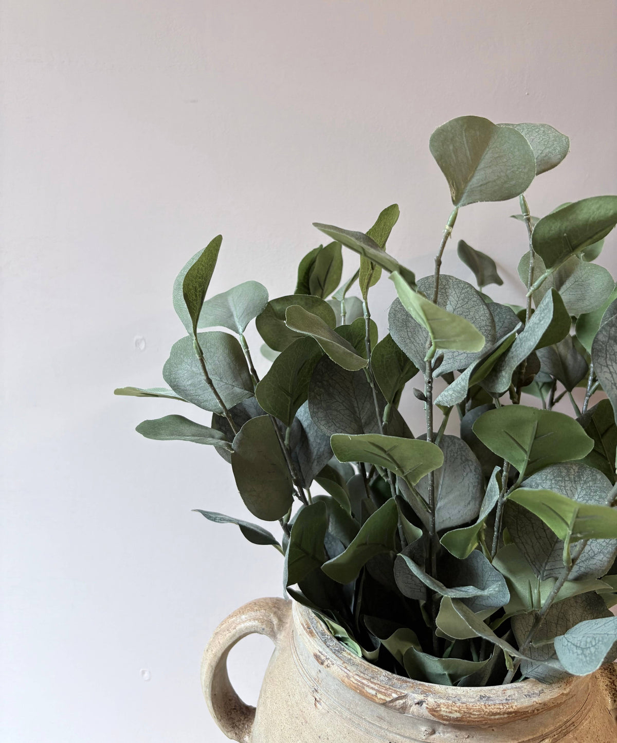 Eucalptus Bunch - Green
