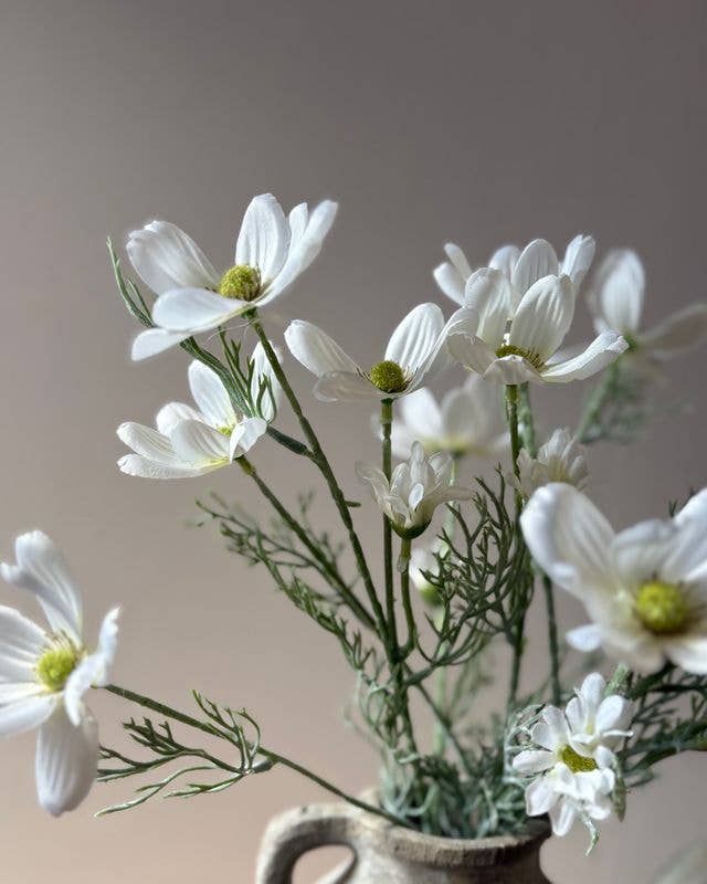 Cosmos Spray