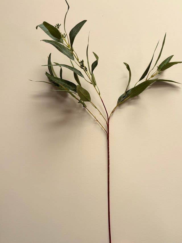 Eucalyptus Nicholii Spray - Green