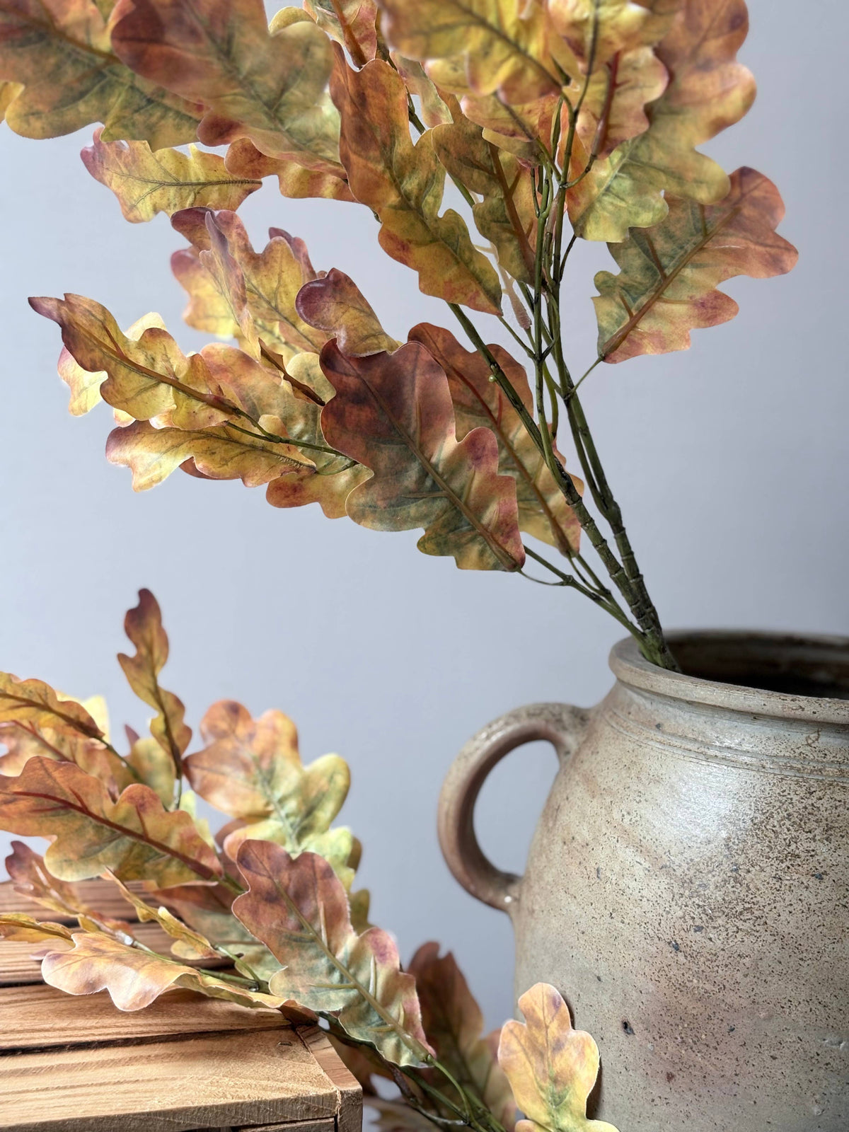 Autumn Oak Leaf Stem