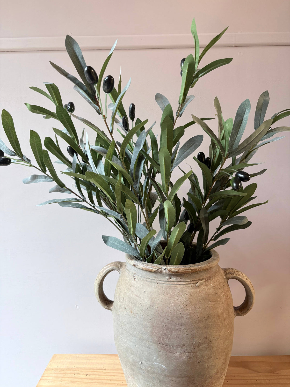 Olive Stem