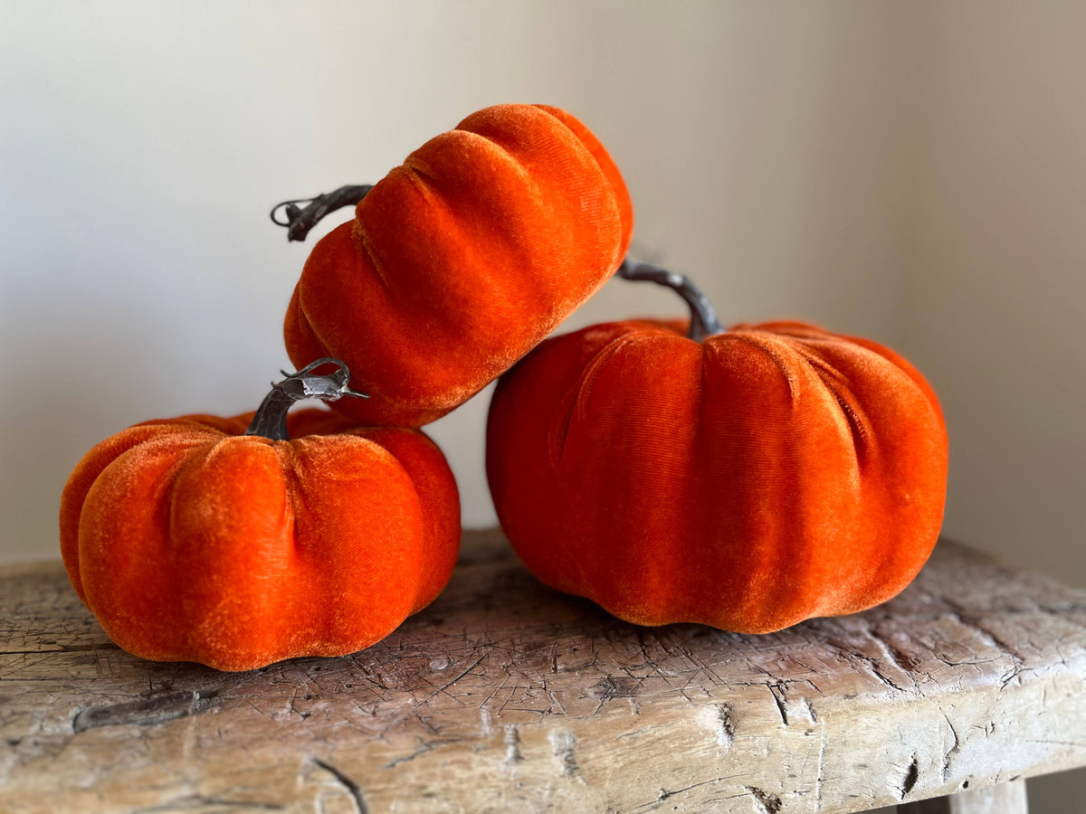 Large Velvet Pumpkin Burnt Orange