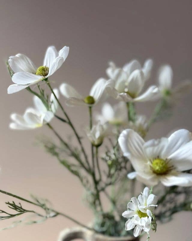 Cosmos Spray