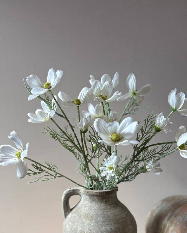 Cosmos Spray