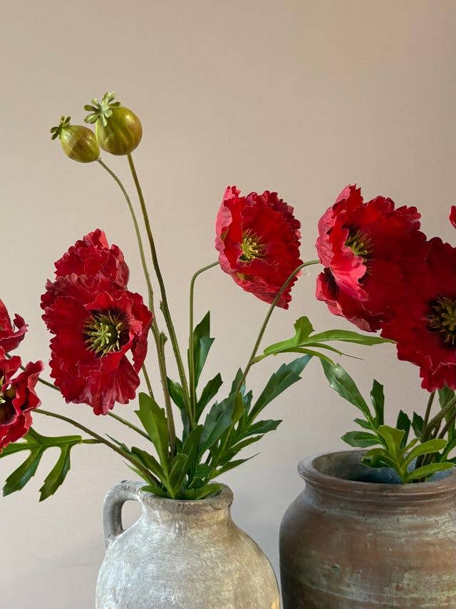 Cottage Garden Poppy - Red