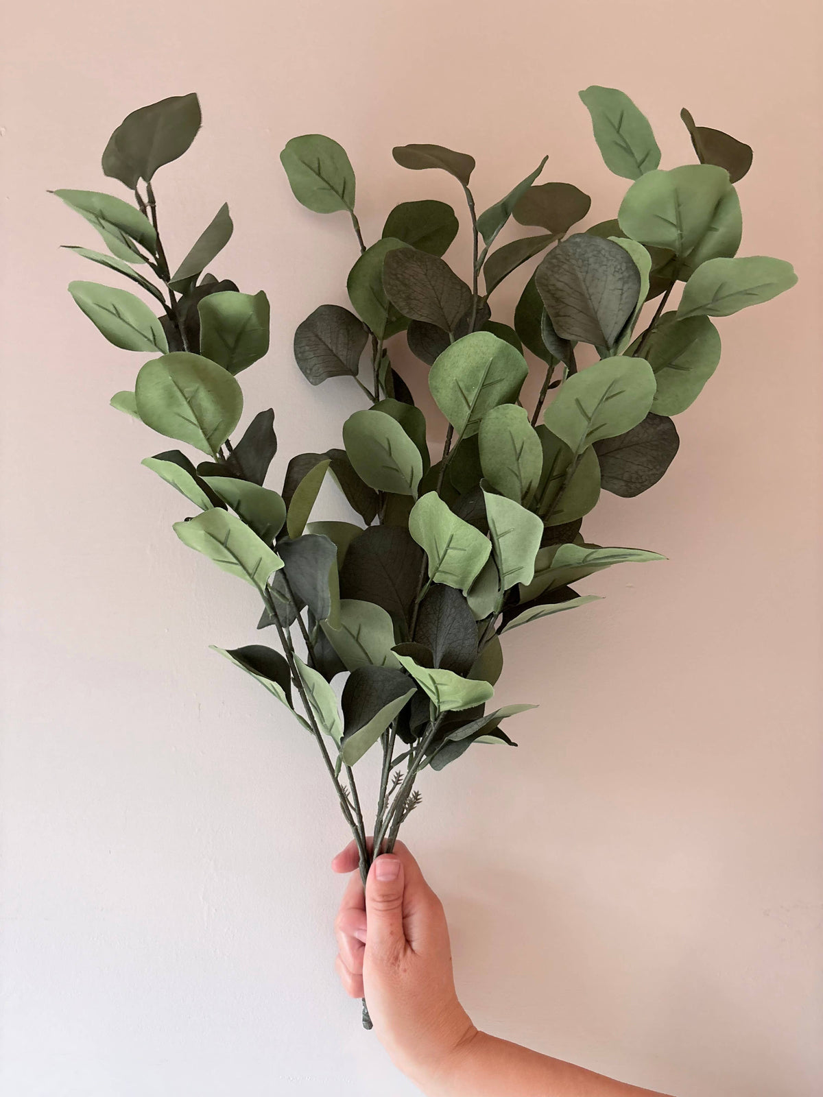 Eucalptus Bunch - Green