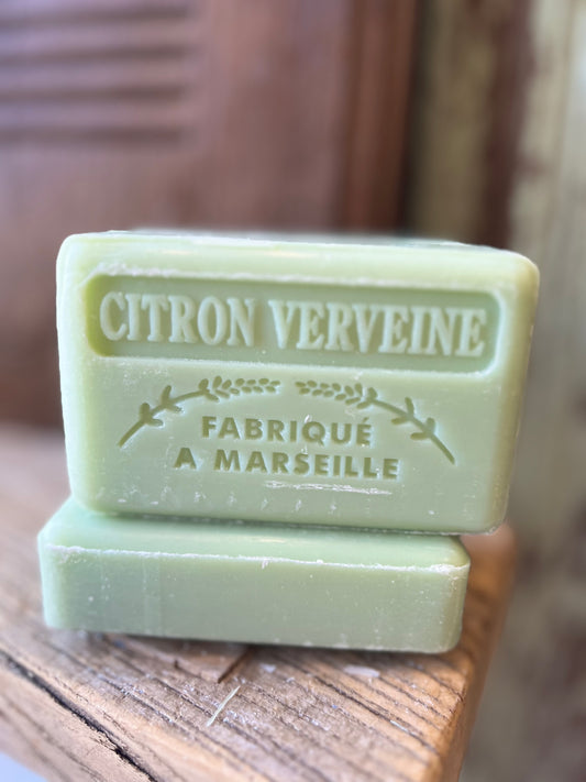 Verveine (Verbena)