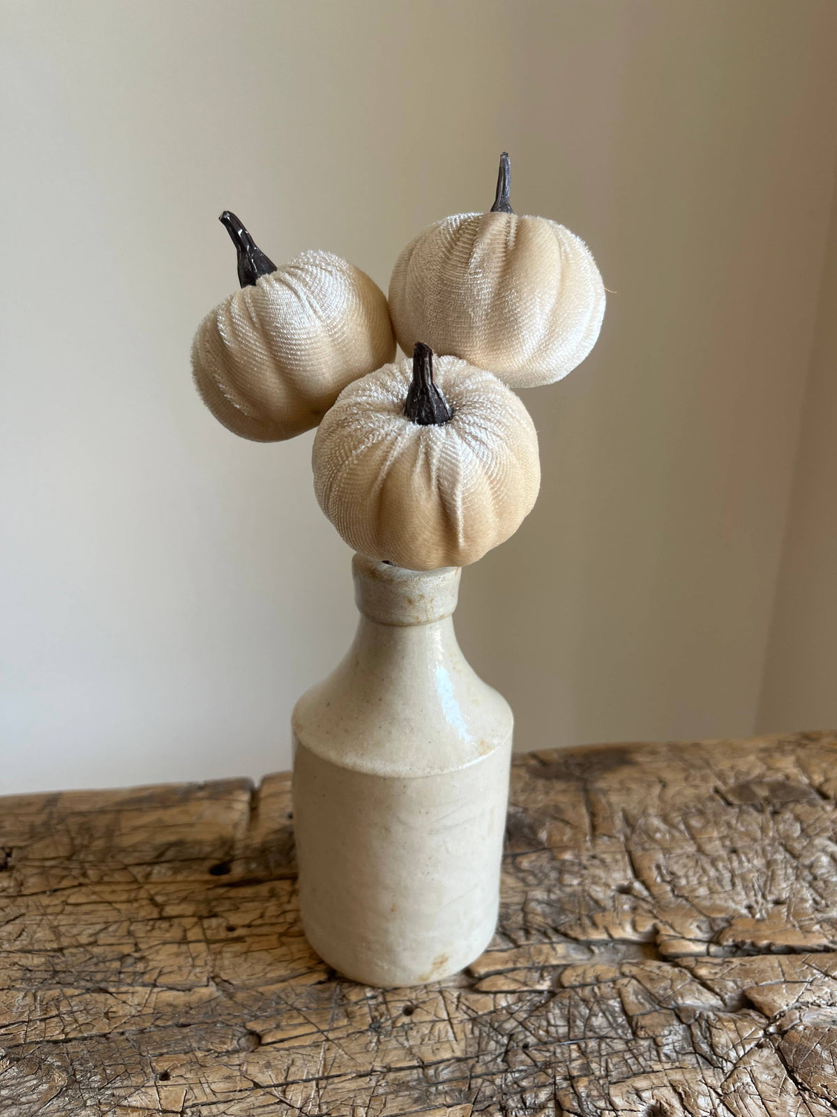 Velvet Pumpkin Pick Ivory Pack of 6