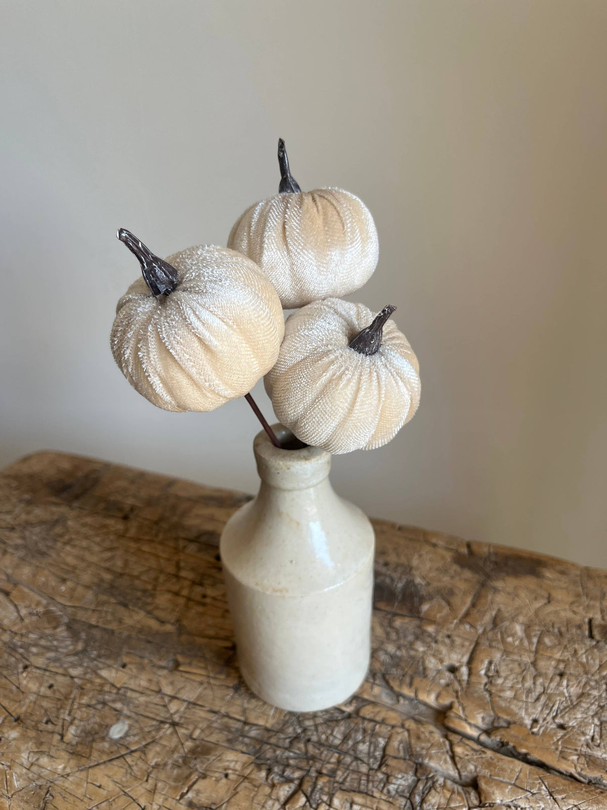 Velvet Pumpkin Pick Ivory Pack of 6