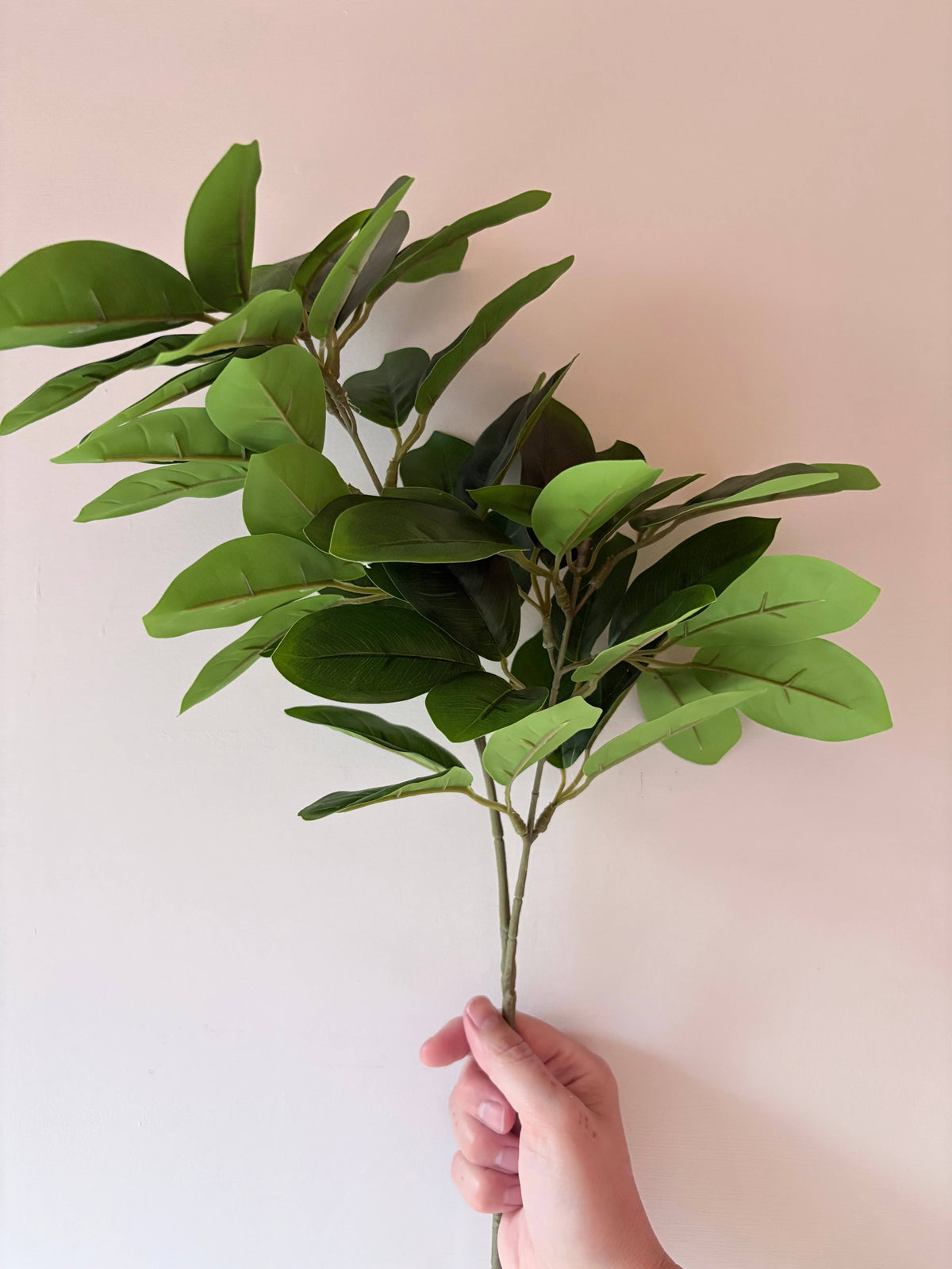 Laurel Stem - Green
