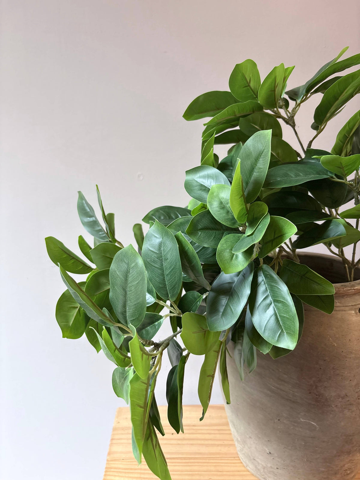 Laurel Stem - Green