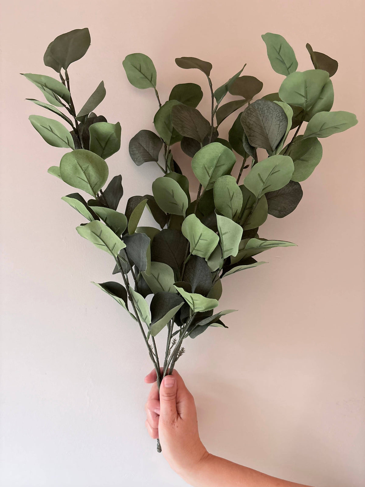 Eucalptus Bunch - Green