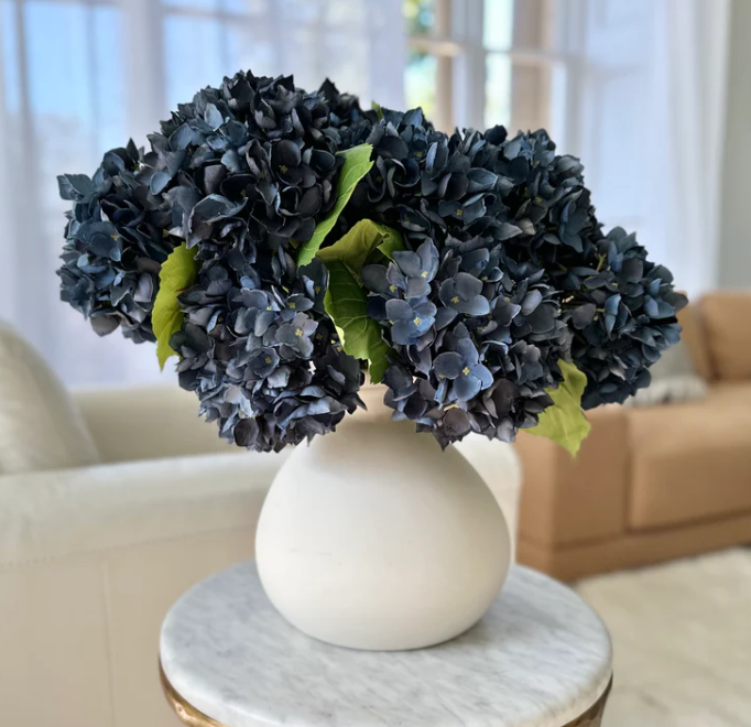 Midnight Blue Late Season Hydrangea