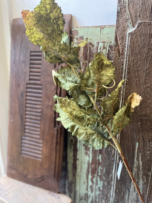 Fall Branch Leaf Green