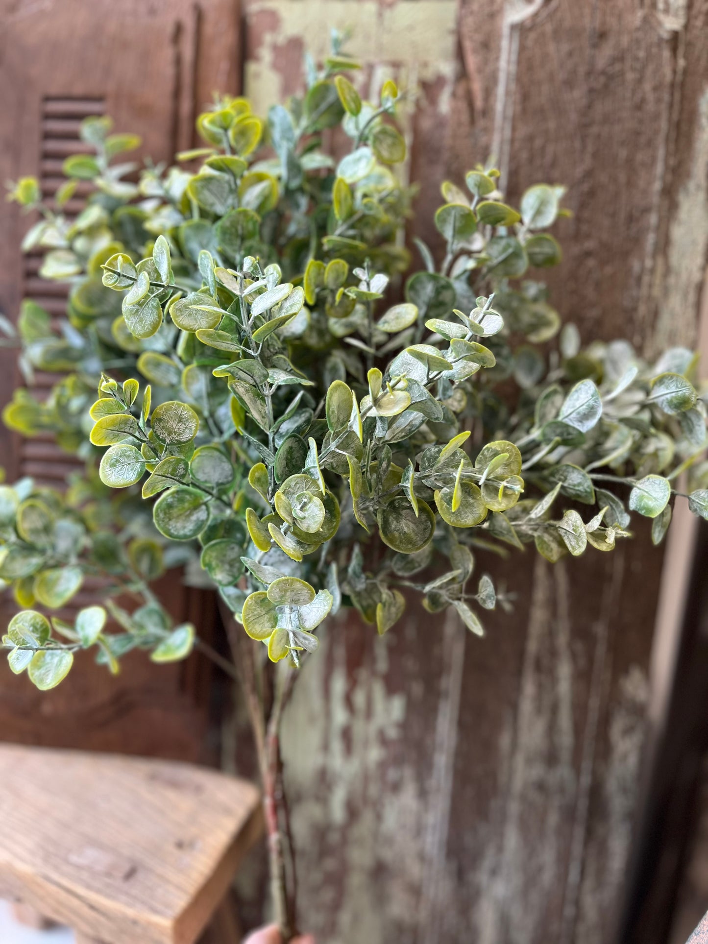 Gum Drop Eucalyptus Spray