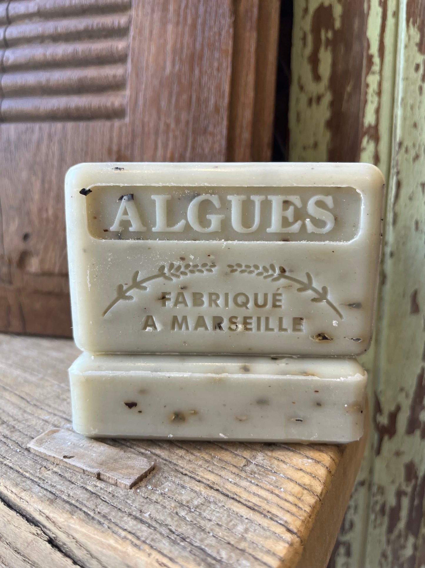 Algues (Algae Seaweed)