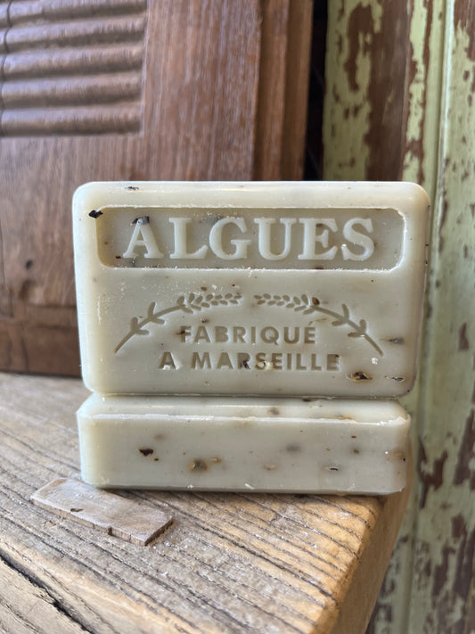 Algues (Algae Seaweed)