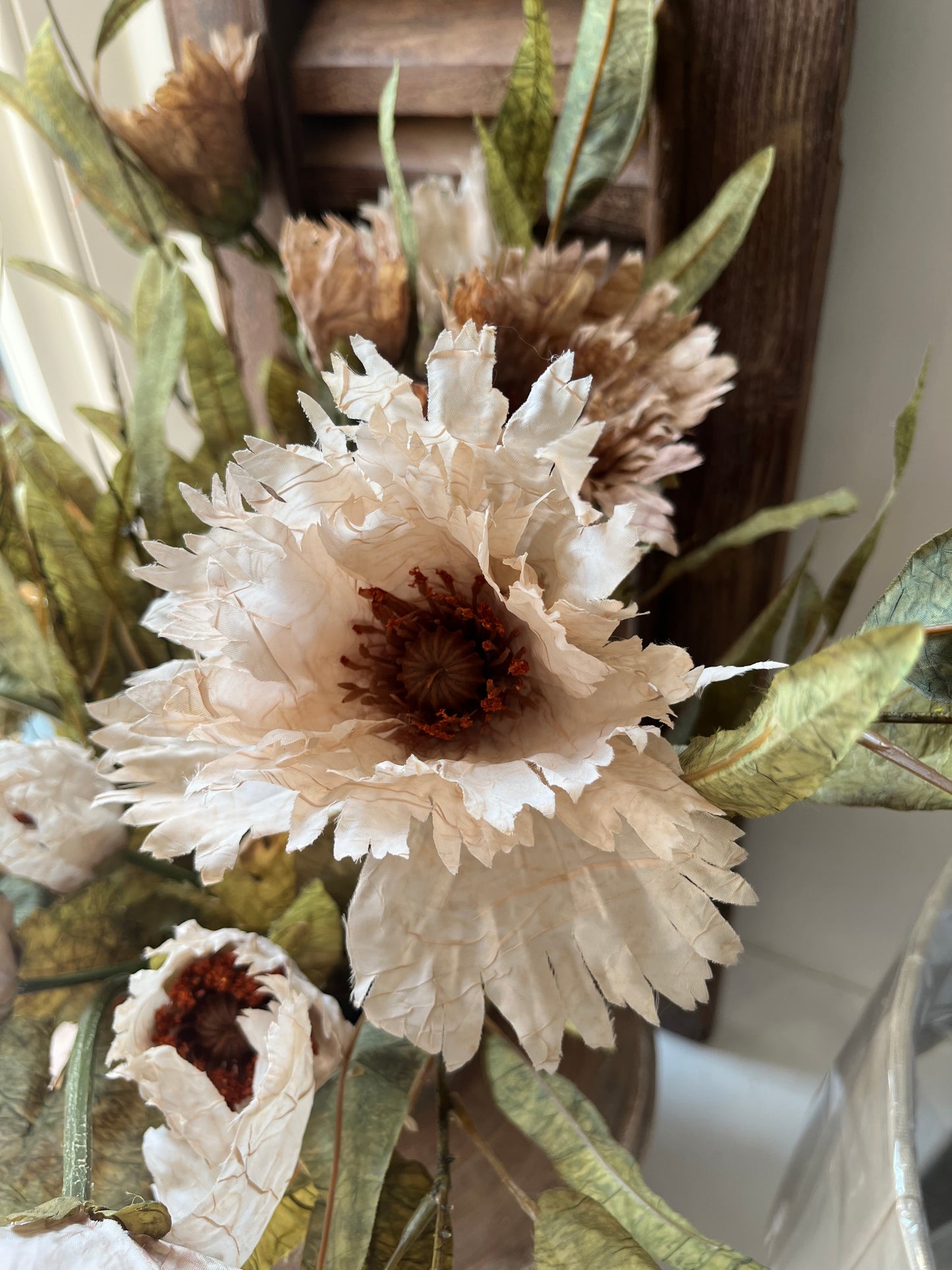 Ruffled Oyster Poppy