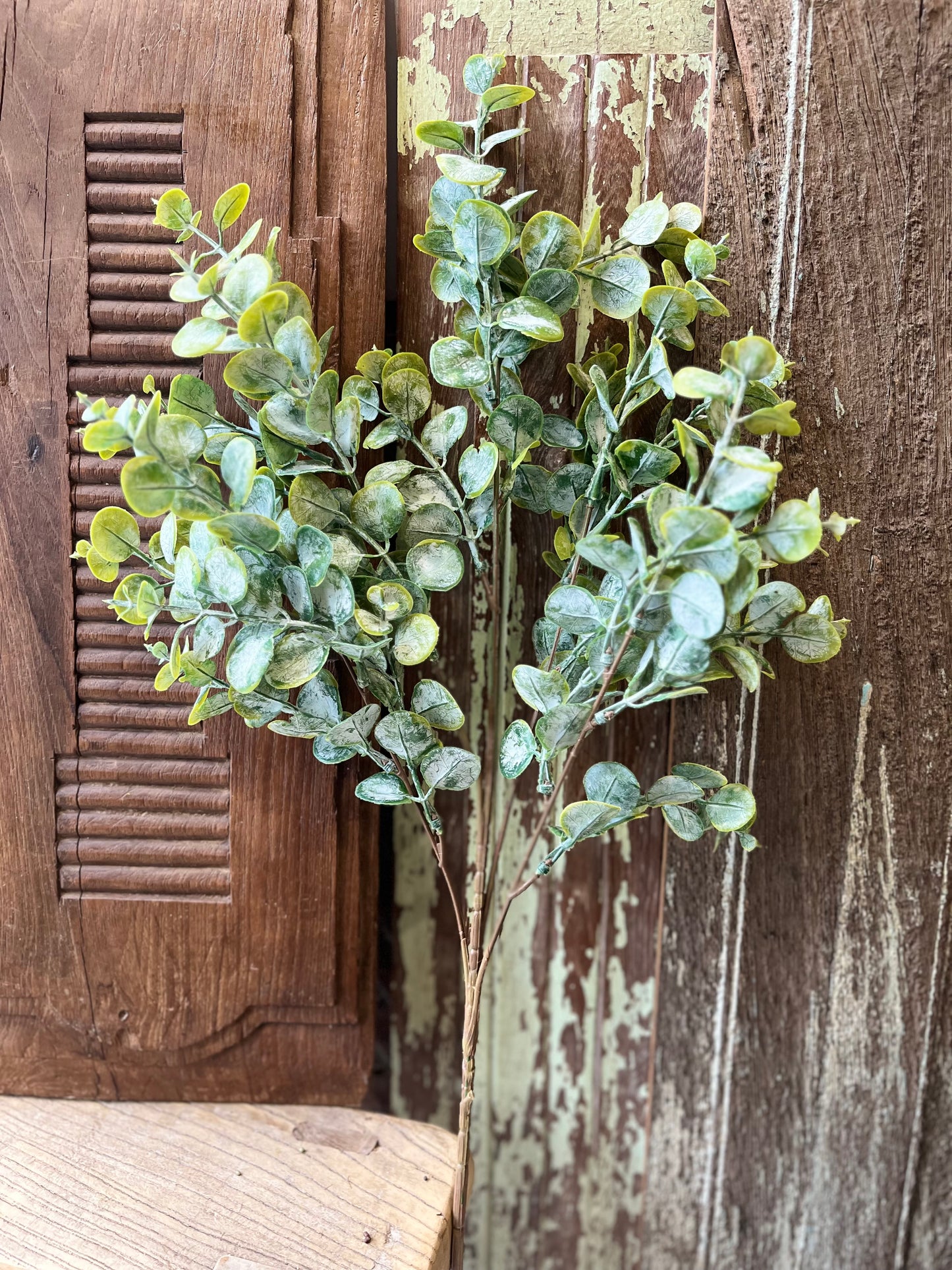 Gum Drop Eucalyptus Spray