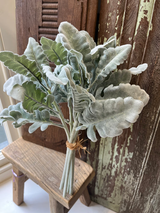 Flocked Cineraria Silver Bunch