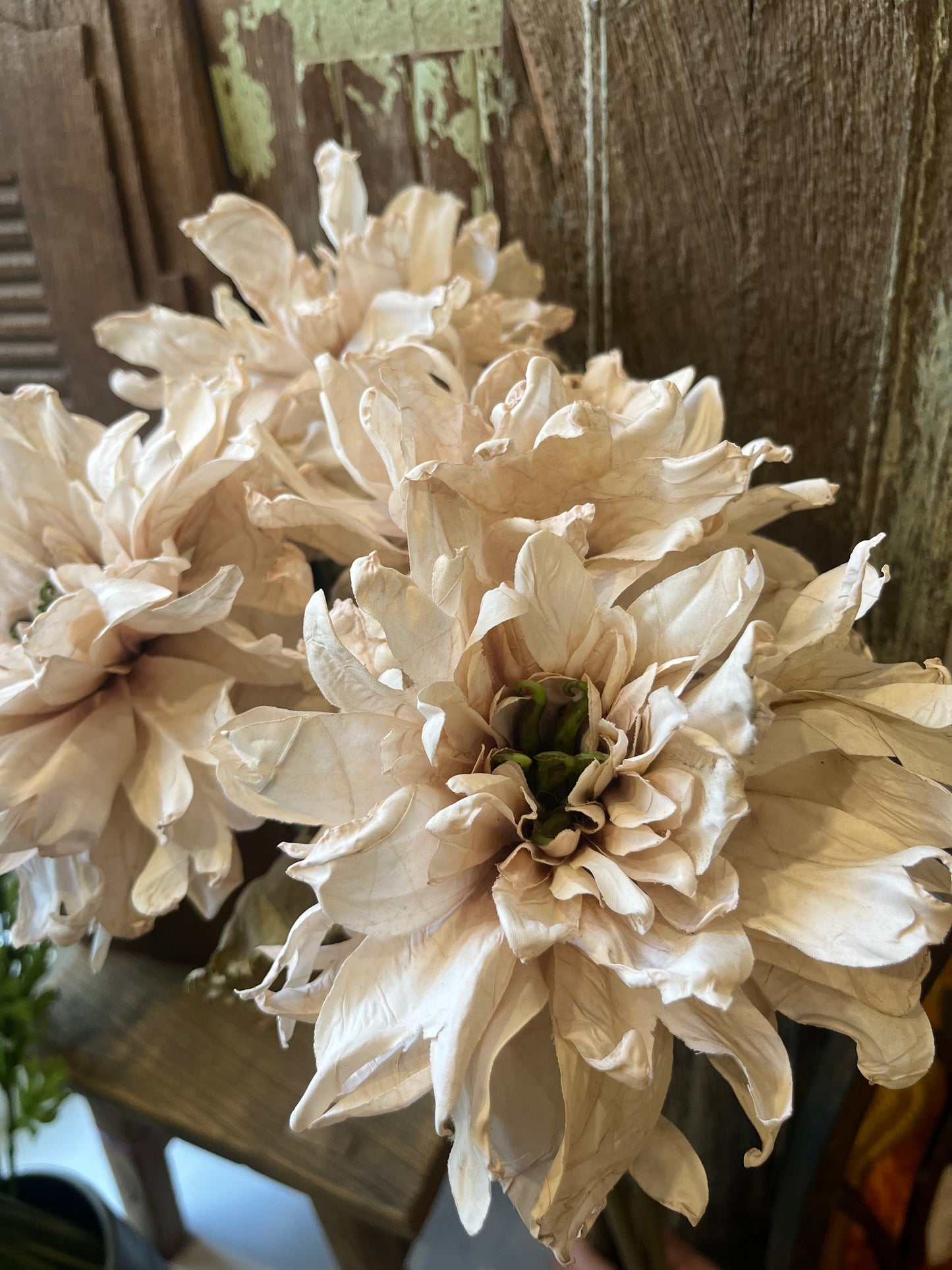 Vintage Dahlia in Nude