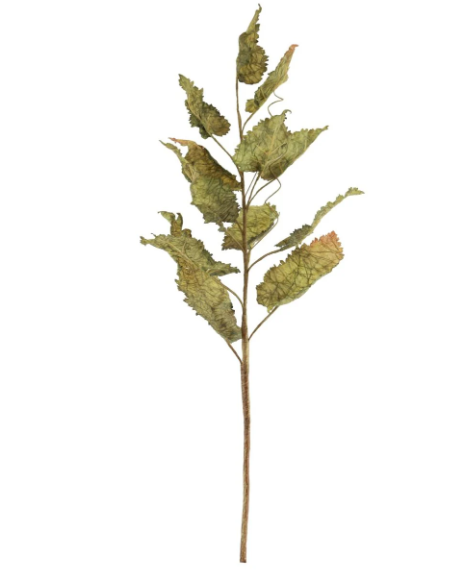 Fall Branch Leaf Green