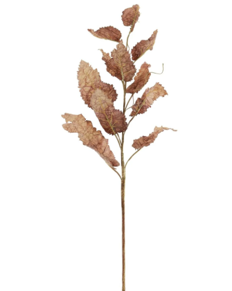 Fall Branch in Mocha