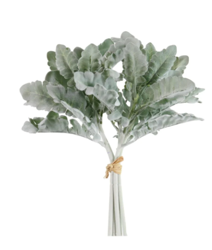 Flocked Cineraria Silver Bunch