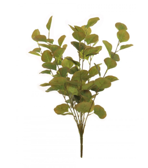 Silver Dollar Eucalyptus Bunch (Green/Brown)