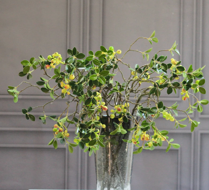 Green Leaves and Berries