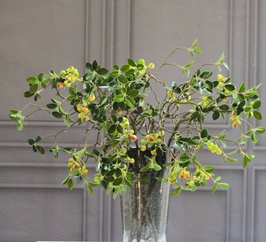Green Leaves and Berries