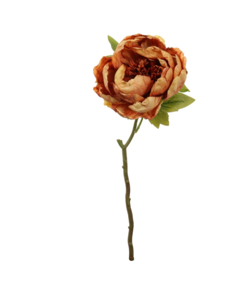 Orange Closed Peony