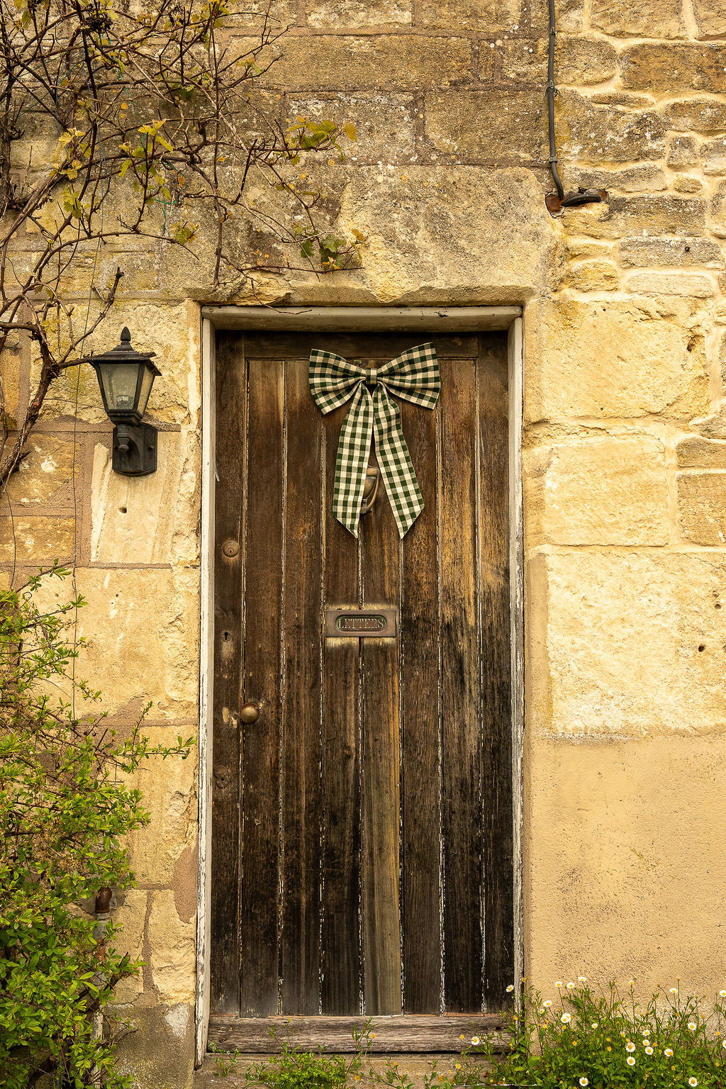 Pine Green Gingham Bow