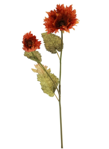 Ruffled Burnt Orange Poppy