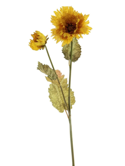 Ruffled Mustard Poppy