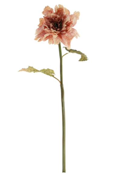 Ruffled Dusky Pink Dahlia