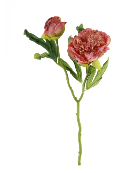 Ruffled Pink Peony